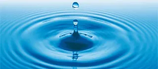 SalivaDent / StuDent